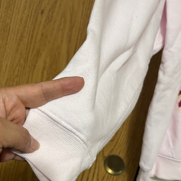 Grayson Threads Pink Sweatshirt with Dragon and Floral Design - Picture 3 of 4